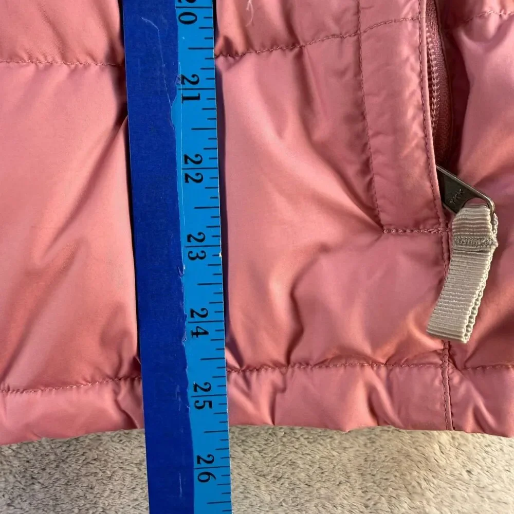The North Face brand north